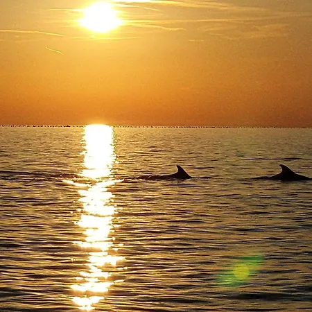 Old-town House Julia Сasa de vacaciones Piran