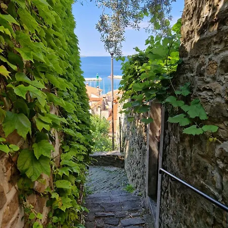 Old-town House Julia *