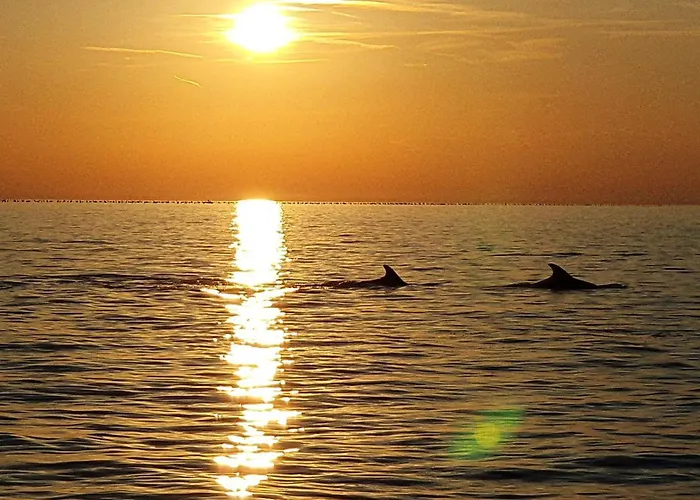 Old-town House Julia Σπίτι διακοπών Πιράν